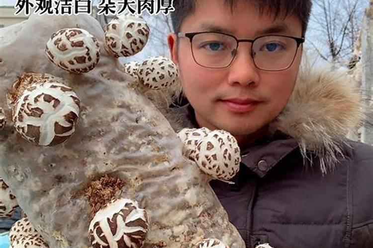 南方油菜种在北方可以种吗？