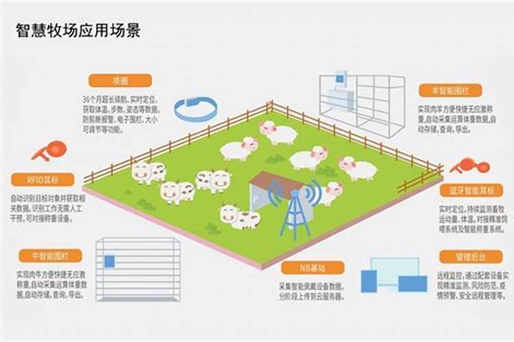 家养长寿花怎么过冬