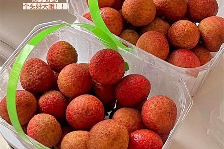 白糖罂荔枝栽培技术
