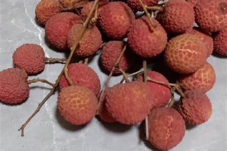 白糖罂荔枝种植技术