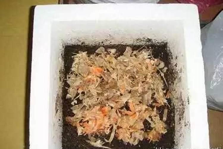 树枝沤肥方法 如何使用树枝做肥料