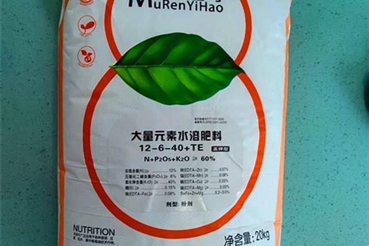 小木槿用深盆还是浅盆 什么时候换盆
