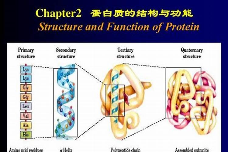 氨基酸和鱼蛋白到底有什么区别,差别在哪里呢？