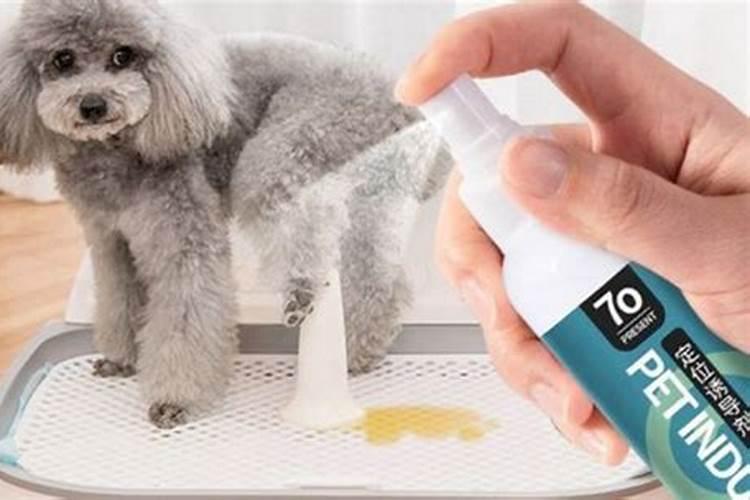 辣椒什么肥可以果实膨大？用什么叶面肥效果好？