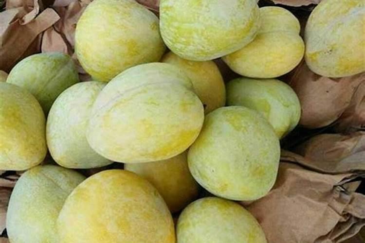 一般的蔬菜瓜果要用到什么肥料