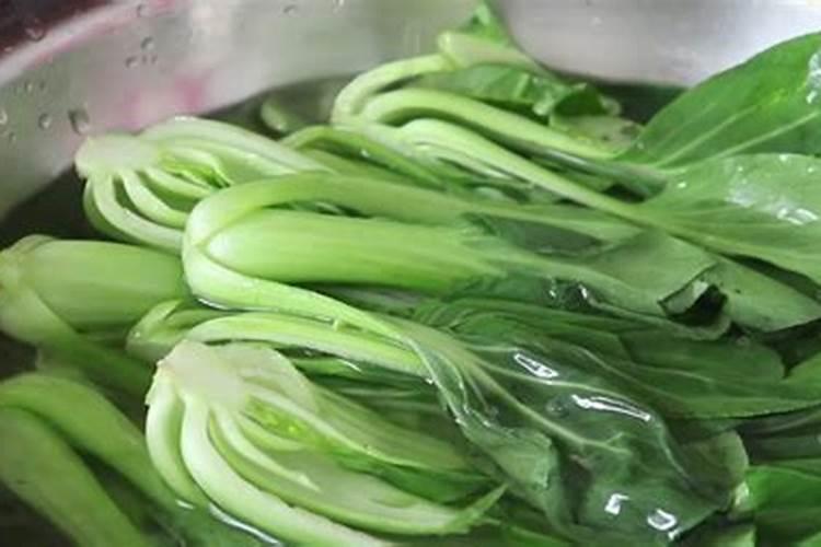种青菜如何正确施肥 正确做法