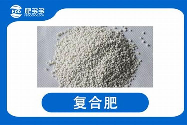 植物叶子发黄用什么肥,需及时的追施氮复合肥
