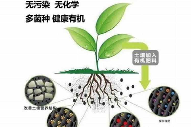 沙质土壤板结如何改良