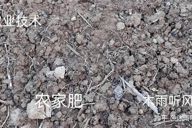 沙质土壤板结如何改良