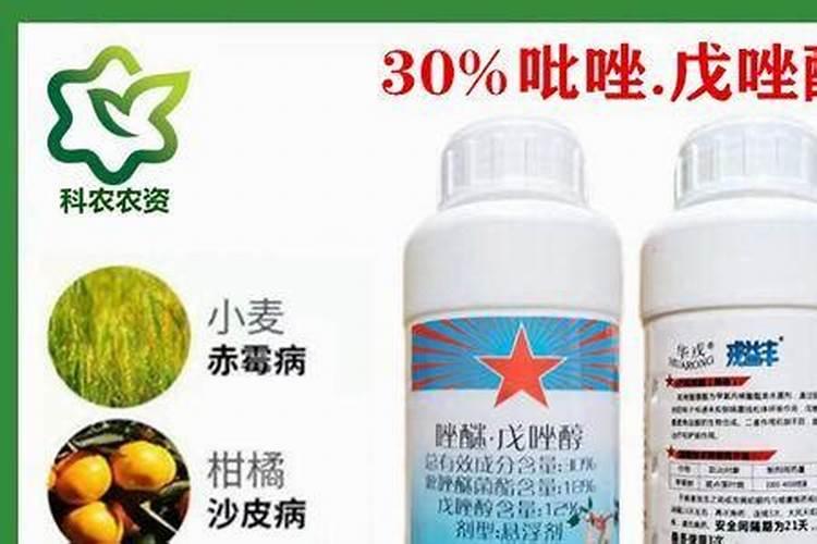 请问长杠豆锈病用什么药防治？