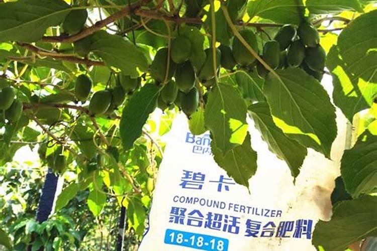 有油的水能浇花菜吗？