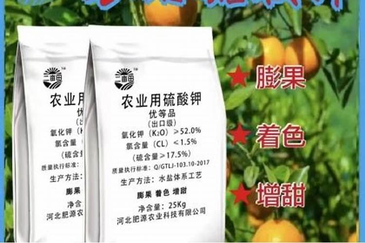 如何正确浇水？