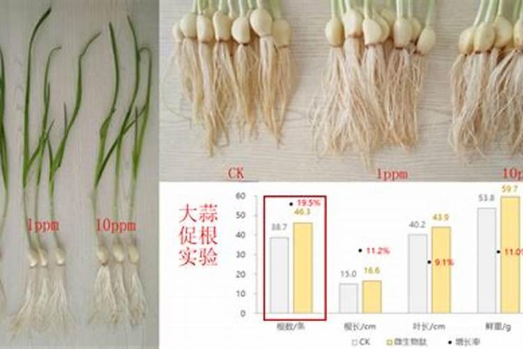 养鱼塘泛塘后用什么消毒？