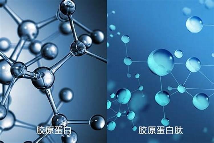 小麦叶面肥与氨基酸叶面肥好还是多肽鱼蛋白好