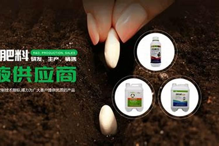 玉米专用叶面肥什么牌子好