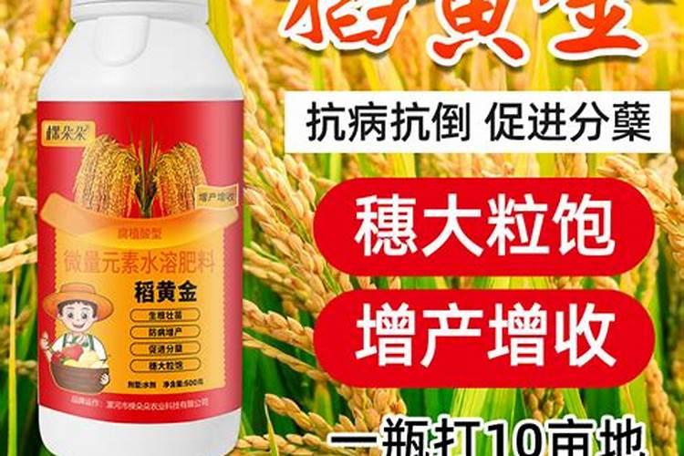 黄瓜能用复合肥追肥吗