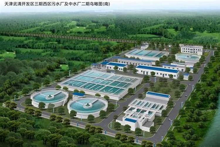 冲施肥对玉米后期影响