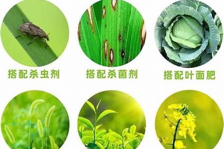有机硅季铵盐