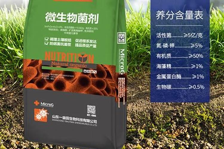 豇豆施肥的正确方法
