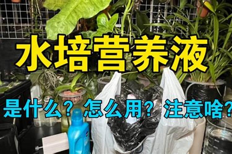 水培营养液和肥料有什么区别