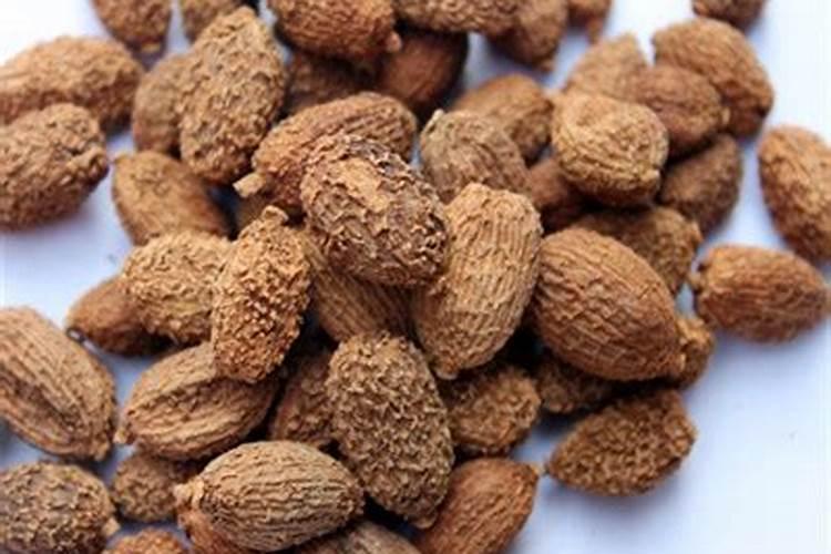 阳春砂仁施什么肥料好