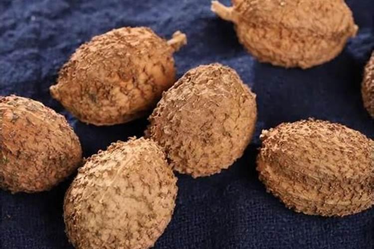 种植砂仁方法是什么