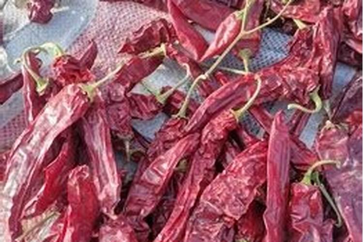 辣椒浇什么肥料合适