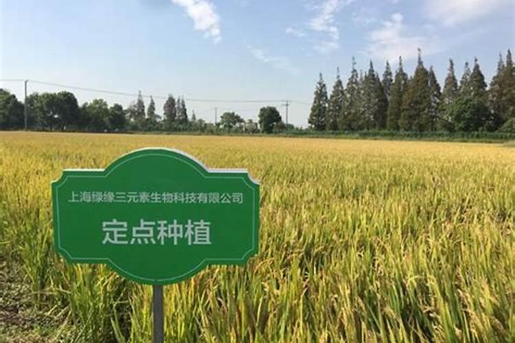 叶面肥料有哪几种类型？