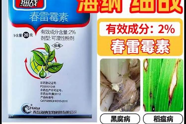 怎样使用生物杀菌剂防治大白菜软腐病？