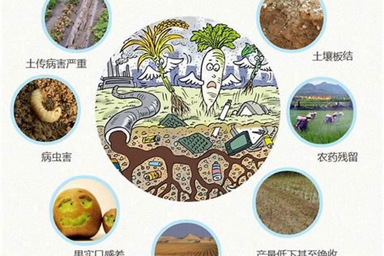 请问河北省各地市都有那些粮油副食批发市场,详细的地理位置