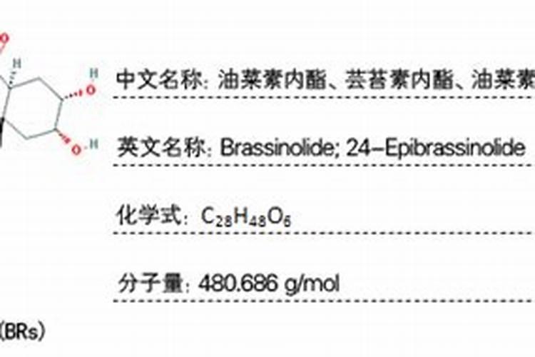 三十烷醇和芸苔素区别