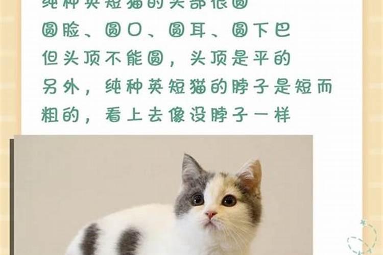 鱼缸里长得这些白色的东西是什么
