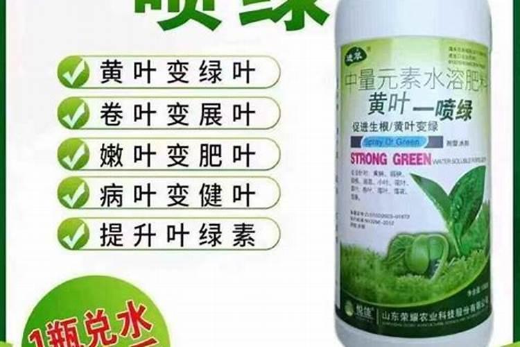 种玉米用二铵好还是复合肥好