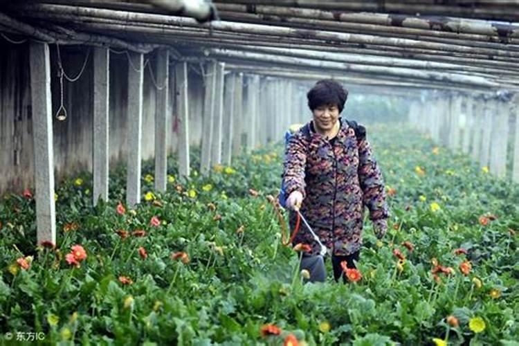 农药混用时应该注意什么？