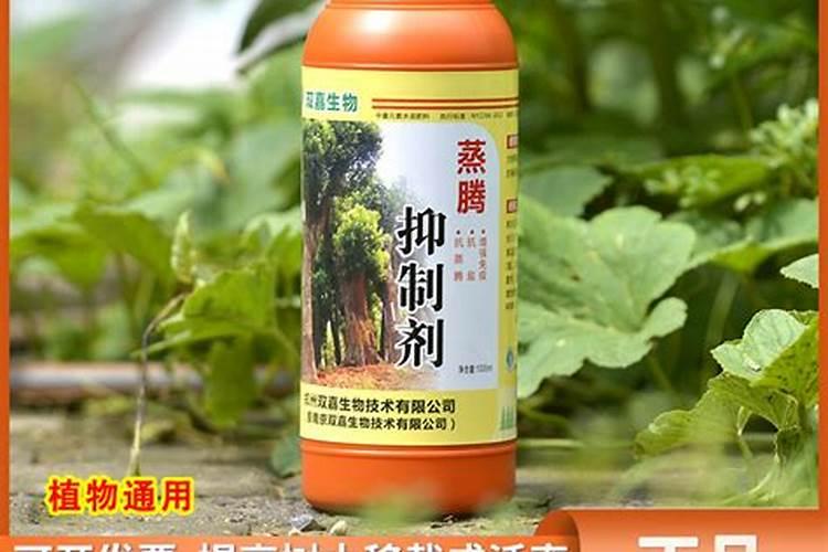 叶面肥什么牌子最好
