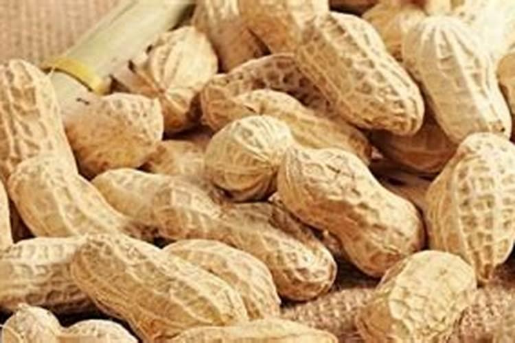发霉的花生可以做肥料吗 怎样处理才能做花肥使用