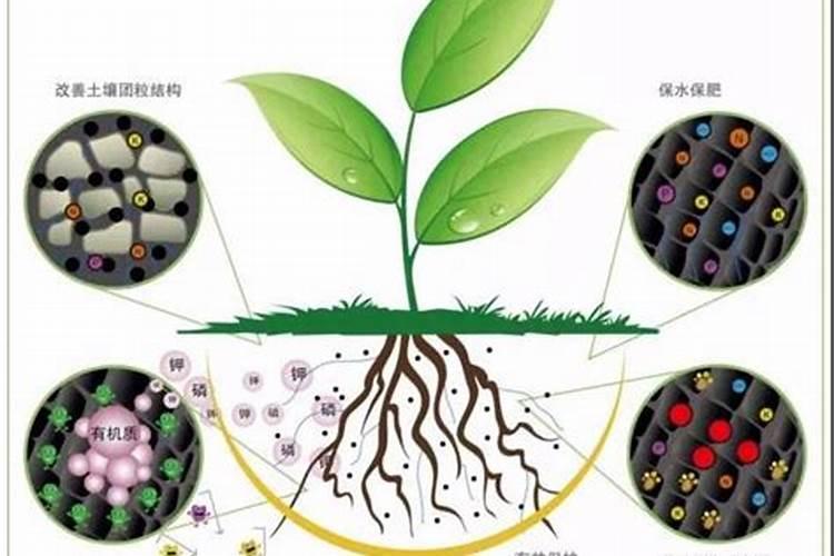 化肥含碳高好还是低好