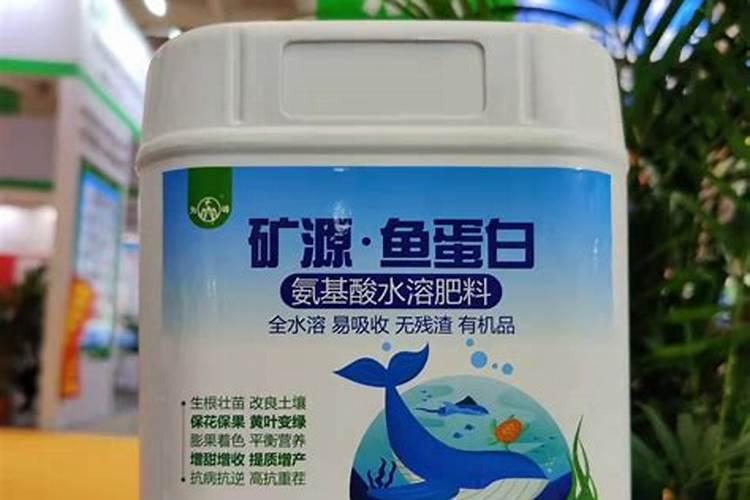 鱼蛋白肥料的使用技巧