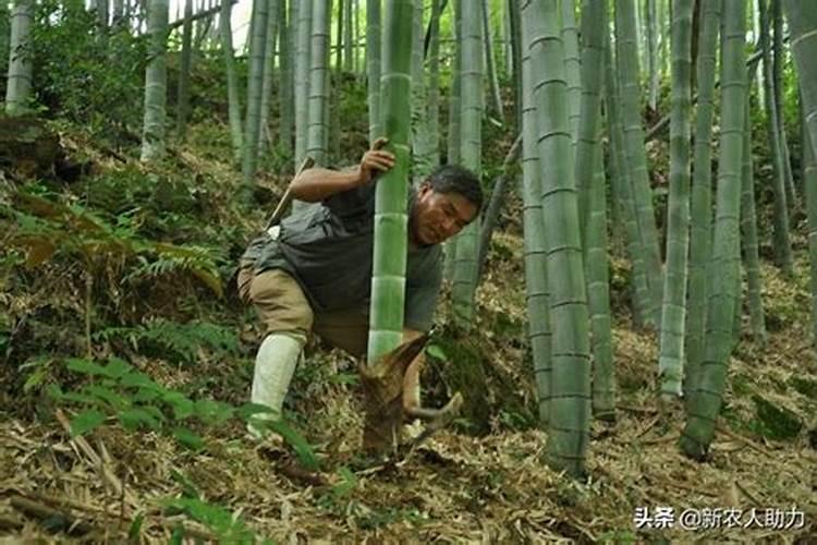 红四方玉米专用复合肥多少钱一吨？