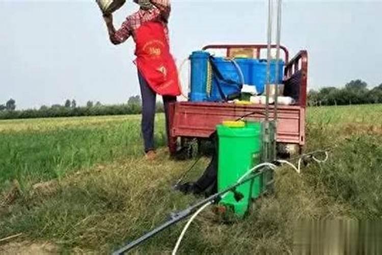 打完除草剂多久可以打叶面肥