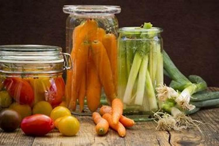 在家里种蔬菜要用什么样的肥料