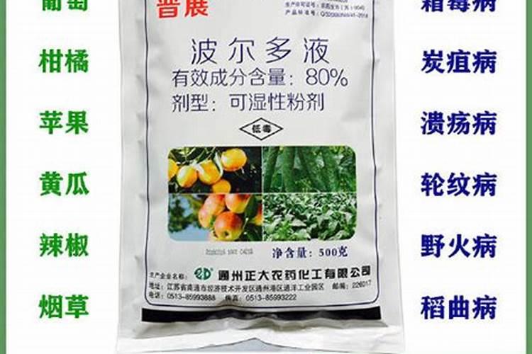 芒果新叶长这样怎么打药