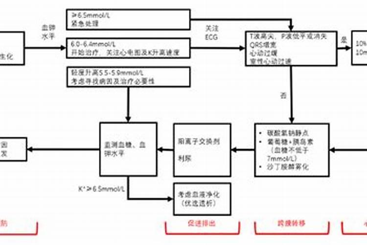 春季金钱树怎么施肥芽儿更粗壮