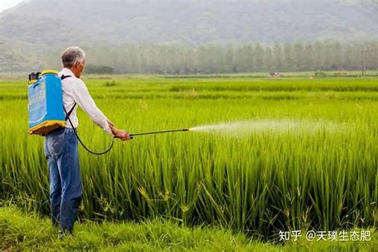 农业农村部“十三五”提出的“双减”是指什么？