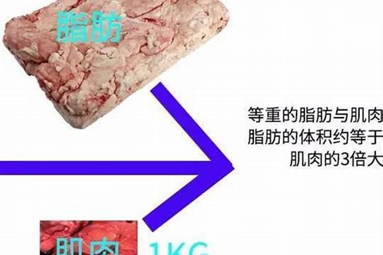 肥肉怎么做,肥而不腻？