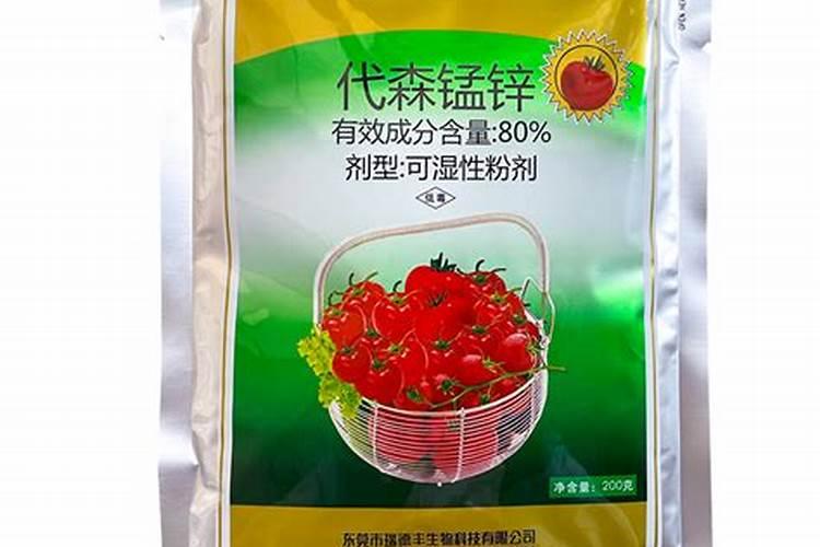 西红柿褐斑病用什么药治效果好