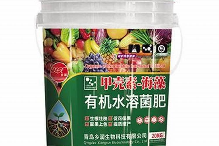 辣椒苗床期用什么肥料壮苗长得快