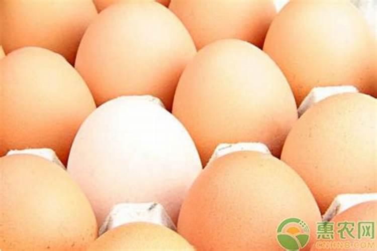 鸡蛋壳做肥料的用途解析:究竟是磷肥还是钾肥？
