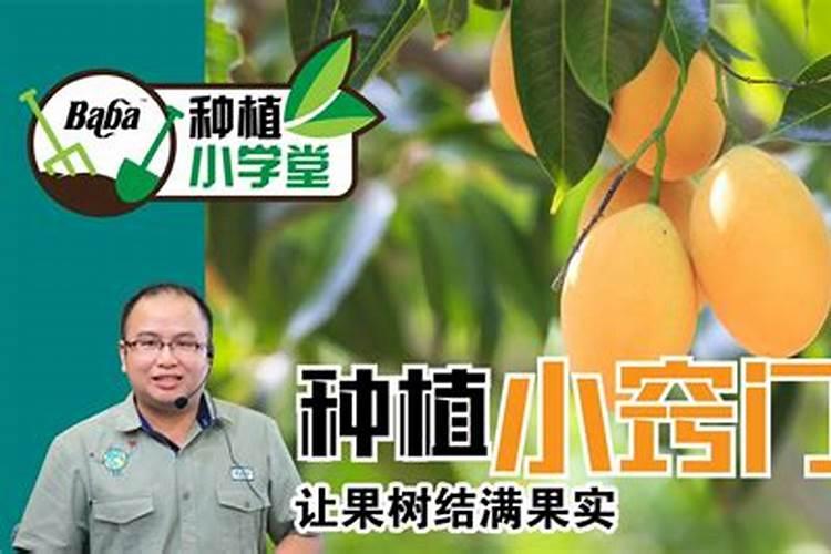 钾肥浓度高对果的危害