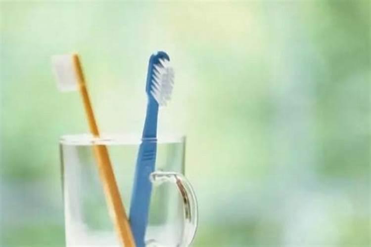 本色水景:19种常见藻类照片和解决方法